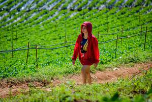 BIB: 
                            <button type="button" onclick="openModal(19164769)" class="btn btn-primary btn-sm float-right btn-popup" data-toggle="modal" data-target=".modal-high-quality">
                        <i class="fas fa-shopping-cart"></i> Add to Cart
                    </button>
                                            <button type="button" onclick="isThisMe(19164769, true)" class="btn btn-success btn-sm float-right btn-popup btn-isme hidden" data-toggle="tooltip" data-placement="bottom" title="นี่คือรูปของคุณใช่ไหม คลิกที่นี่เพื่อเอาเข้าอัลบั้ม">
                        <i class="fas fa-plus"></i> Add to album
                    </button>
                    <button type="button" onclick="isThisMe(19164769, false)" class="btn btn-warning btn-sm float-right btn-popup btn-isnotme hidden">
                        <i class="fas fa-ban"></i> Remove from album
                    </button>